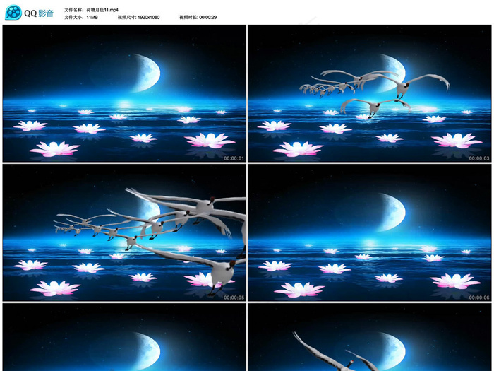 中国风荷塘月色仙鹤飞舞视频素材