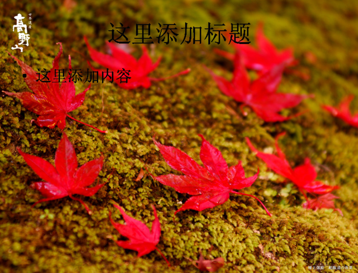 高野山-世界遗产