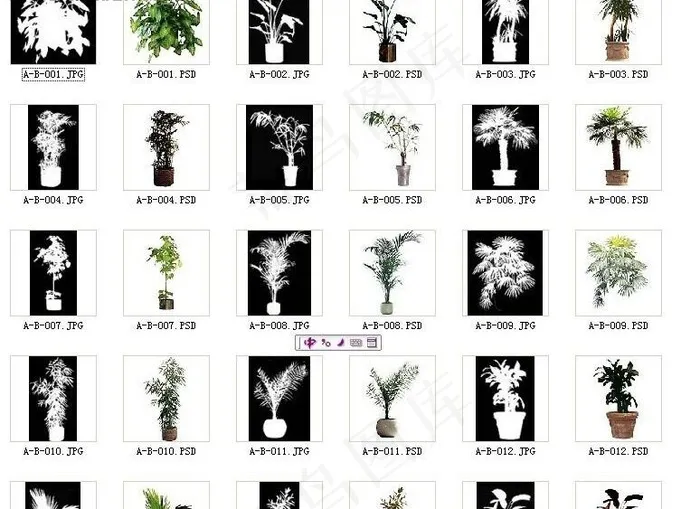 效果图后期ps常用花－全2【超值包...
