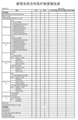 新型农村合作医疗制度情况表