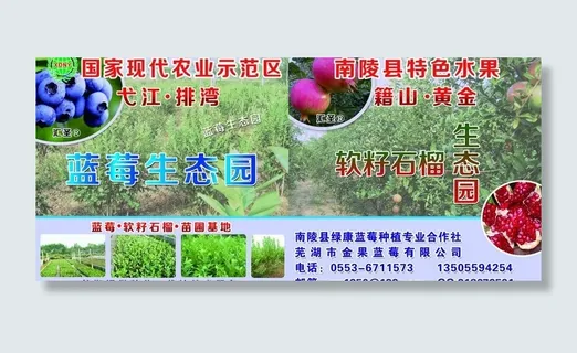 国家农业示范园 蓝莓生态园图片