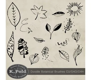 手绘树叶PS笔刷