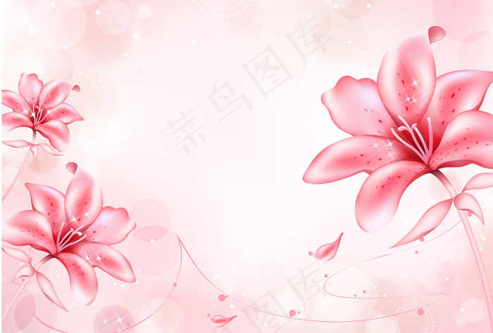 菊花 玫瑰 百合 枫树 紫色