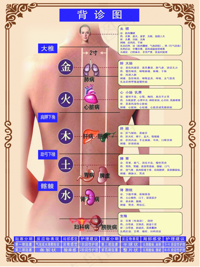 背诊图背部保健诊疗