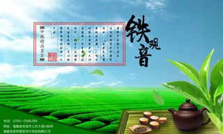 铁观音茶海报宣传
