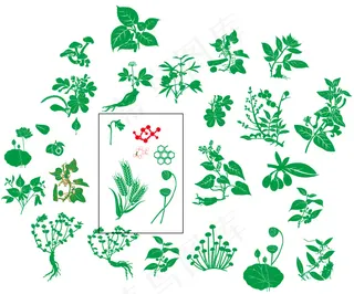植物剪影矢量素材