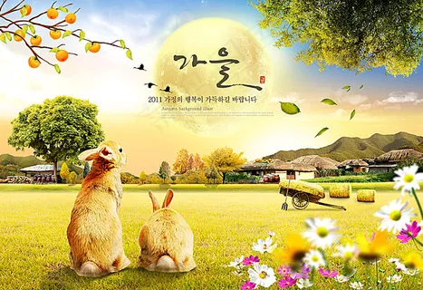 草地上的兔子 草地上的兔子