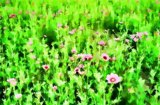 风景装饰画图片