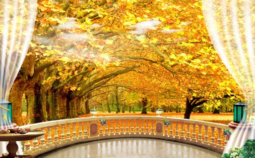 风景电视客厅背景