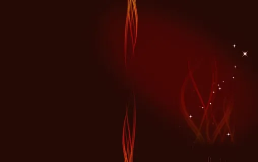 2010年新年音乐会节目单图片