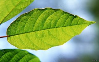 高清电脑桌面背景壁纸