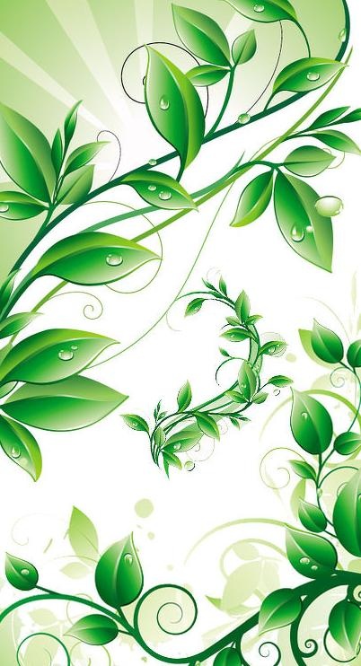 清新动人绿叶矢量素材