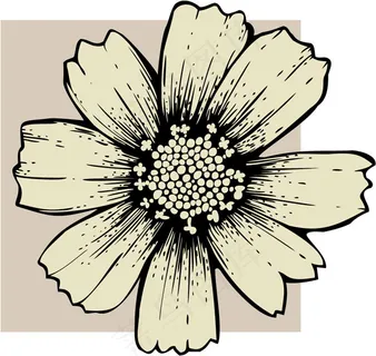 草案04线模式向量