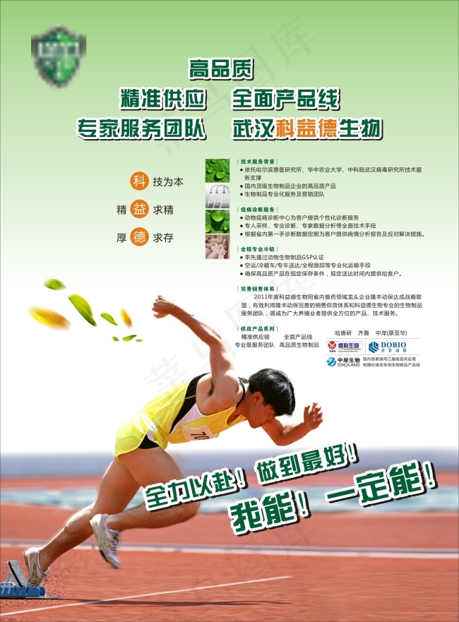 药品宣传单cdr矢量模版下载