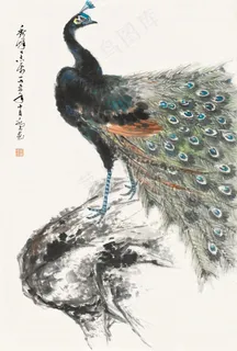 孔雀图片 孔雀图片