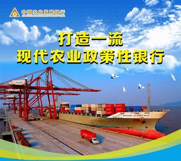 中国农业发展银行