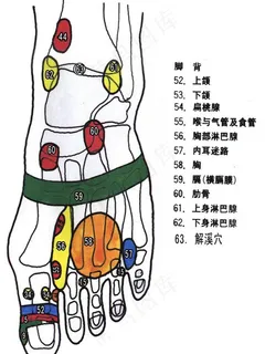 足疗穴位图片 足疗穴位图片