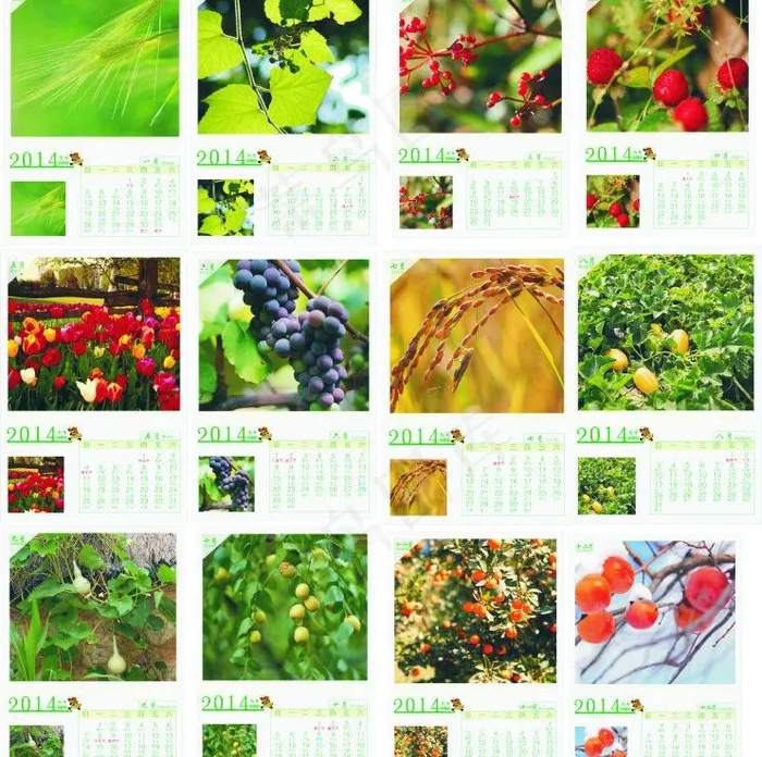 2014马年日历图片(550X800)cdr矢量模版下载