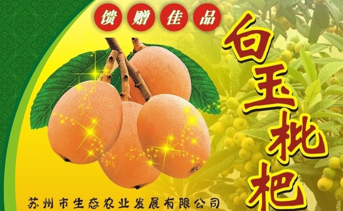 枇杷包装图片