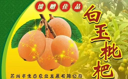 枇杷包装图片
