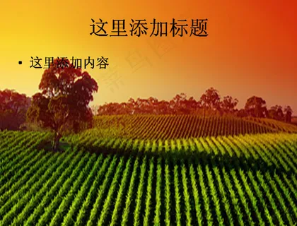 田野PPT模板范文素材风景PPT...