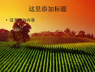 田野PPT模板范文素材风景PPT...