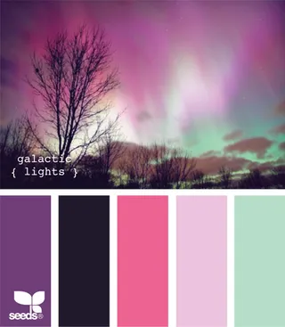 最新的颜色搭配 配色方案