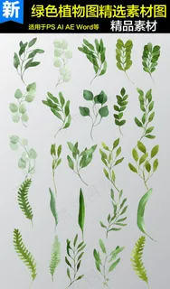 花纹边框鲜花插画北欧装饰画作花草矢...