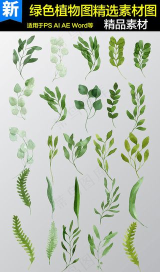 花纹边框鲜花插画北欧装饰画作花草矢...