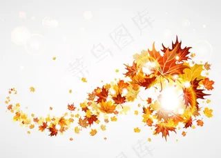 动感秋天枫叶矢量素材