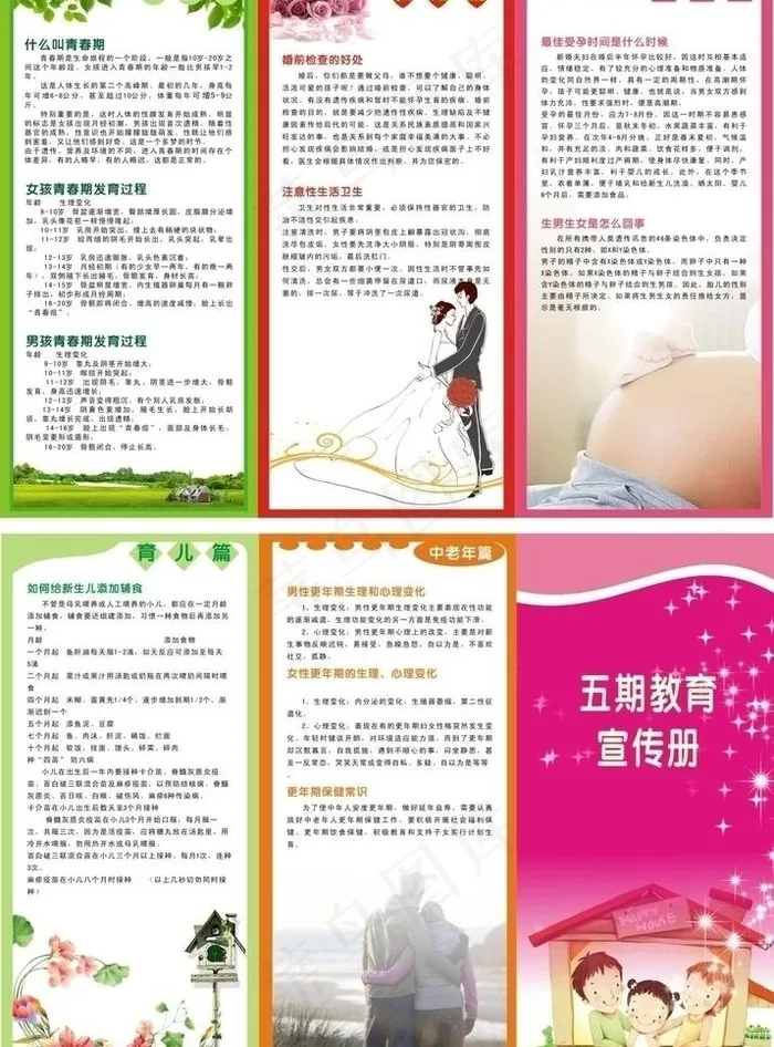 五期教育 三折页 排版图片cdr矢量模版下载