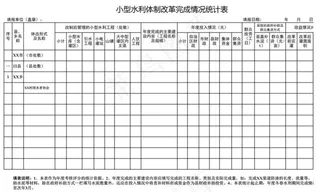 小型水利*改革完成情况统计表