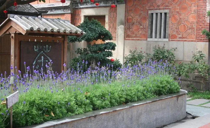 厦门鼓浪屿茶园图片