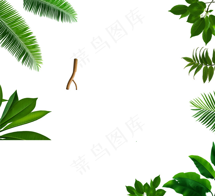 装饰图案 叶子 绿色 夏天清凉