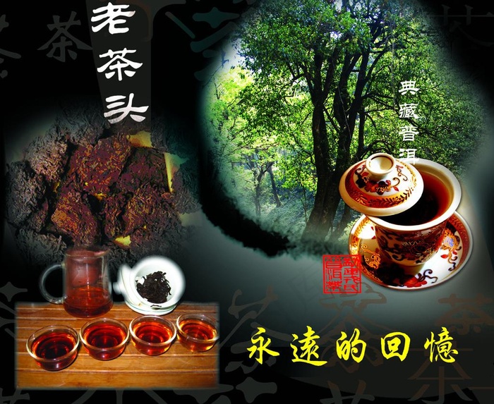 茶叶 老茶头 茶树 茶杯 茶壶 3...psd模版下载