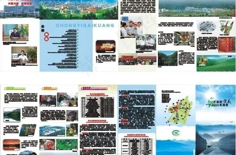 旅游折页图片
