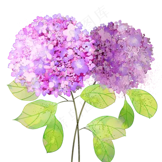 蓝紫色水粉色调花卉清新小花朵水蓝紫色水粉色调花卉清新小花朵水