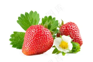 诱人草莓