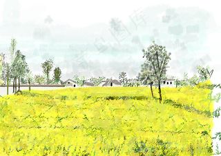 油菜花绘画图片