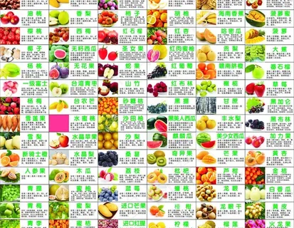 水果功能大全图片