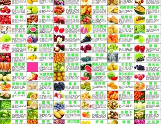 水果功能大全图片