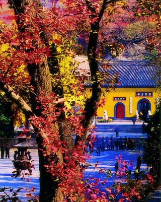 栖霞山风景图片