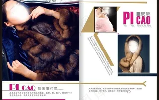 杂志内页图片