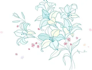 木兰与百合矢量图