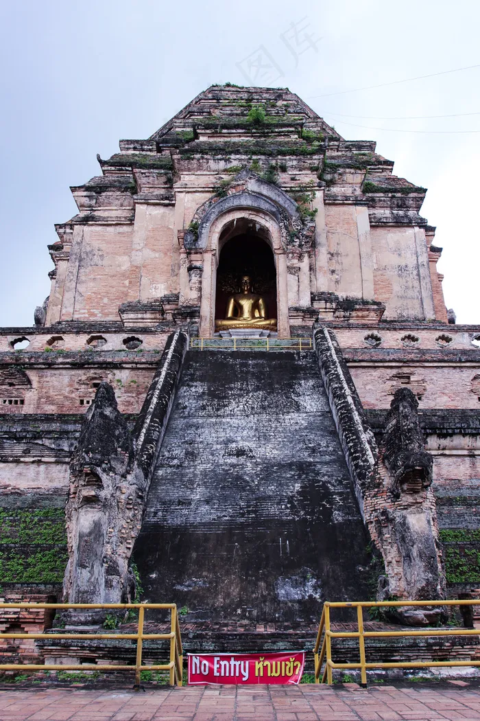 清迈柴迪龙图片