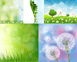 春天野生花卉植物矢量素材