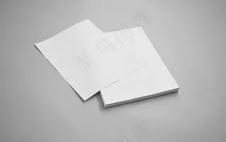 简约vi样机素材免费下载