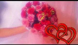 婚礼视频素材图片