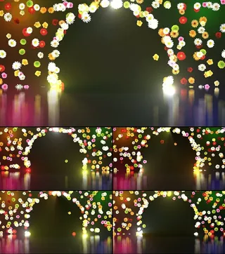 星光花朵婚庆视频素材