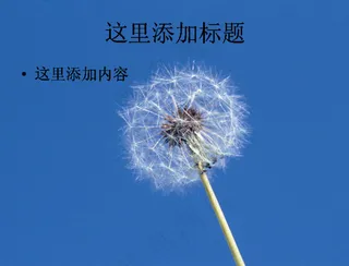 PPT高考学子如蒲公英般背景图片...